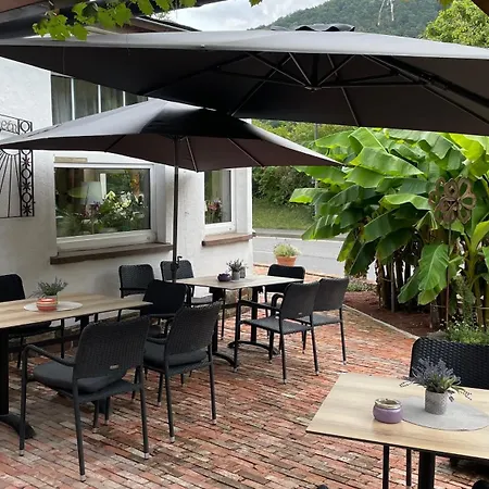 Winzerschenke 宾馆 *