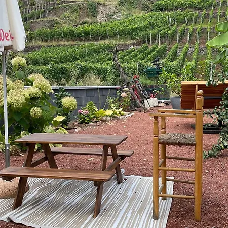 宾馆 Winzerschenke *