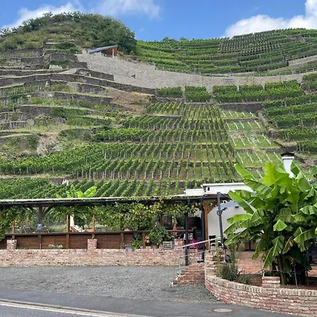 宾馆 Winzerschenke 巴特诺因阿尔-阿尔韦勒