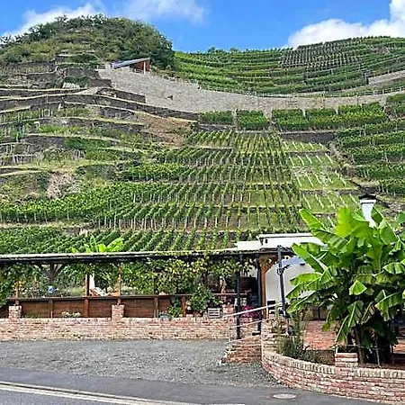 Värdshus Winzerschenke Bad Neuenahr-Ahrweiler
