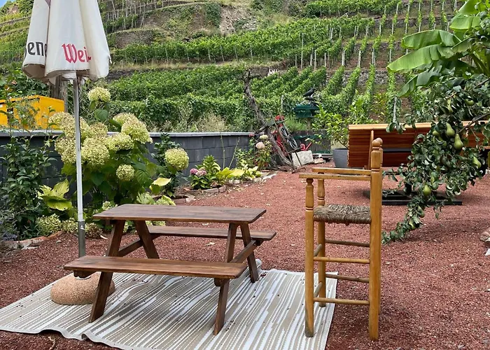 宾馆 Winzerschenke *