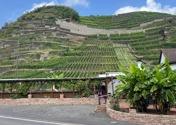 宾馆 Winzerschenke 巴特诺因阿尔-阿尔韦勒