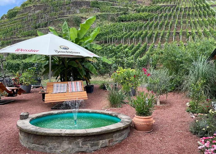 Winzerschenke 宾馆